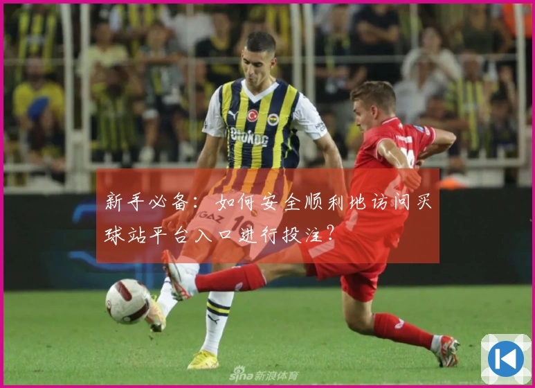 新手必备：如何安全顺利地访问买球站平台入口进行投注？