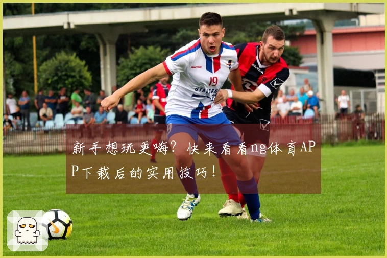 新手想玩更嗨?快来看看ng体育APP下载后的实用技巧!