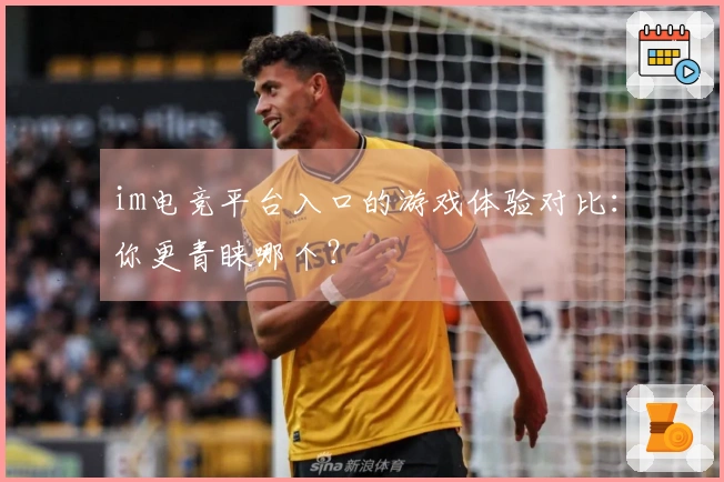 im电竞平台入口的游戏体验对比：你更青睐哪个？