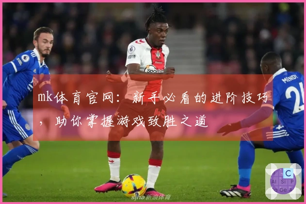 mk体育官网：新手必看的进阶技巧，助你掌握游戏致胜之道