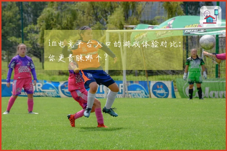 im电竞平台入口的游戏体验对比：你更青睐哪个？