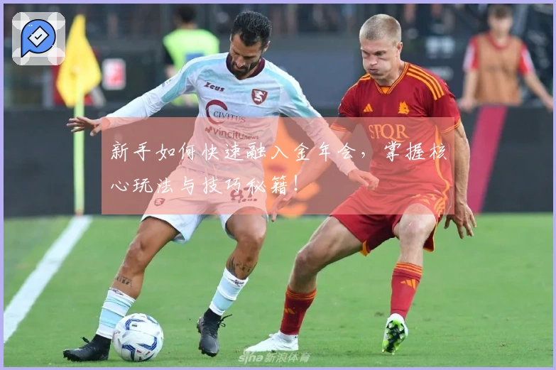 新手如何快速融入金年会，掌握核心玩法与技巧秘籍！