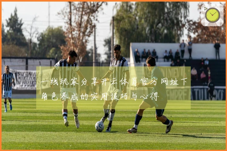 一线玩家分享开云体育官方网址下角色养成的实用技巧与心得